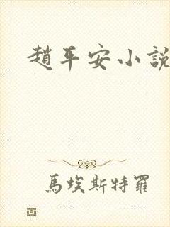 赵平安小说主角