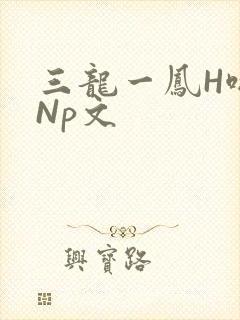 三龙一凤H啪肉Np文