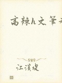 高辣h文笔趣阁