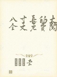 八寸长的大宝贝全文免费阅读