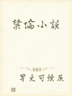 禁伦小说