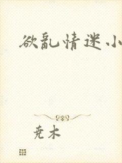 欲乱情迷小说封面