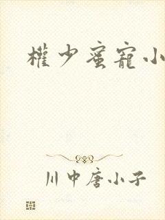 权少蜜宠小娇妻