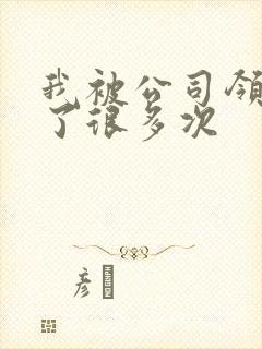 我被公司领导C了很多次