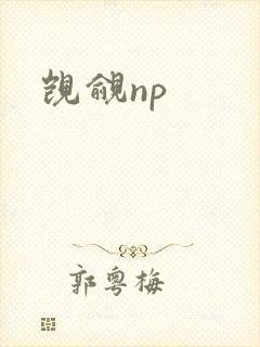 觊觎np
