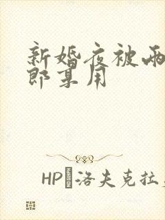 新婚夜被两个伴郎享用