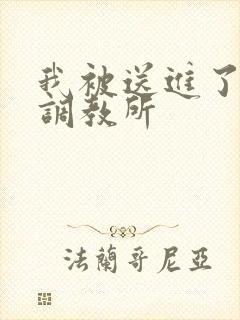 我被送进了私奴调教所