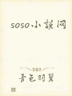 soso小说网封面