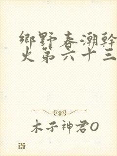 乡野春潮干柴烈火第六十三章