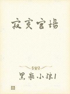 寂寞官场
