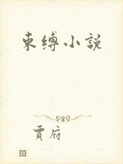 束缚小说封面