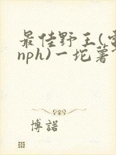 最佳野王(电竞nph)一坨薯饼封面