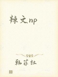辣文np