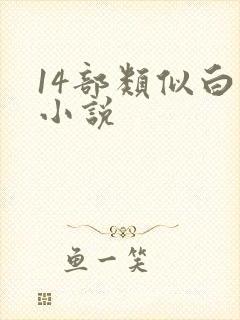 14部类似白洁小说封面