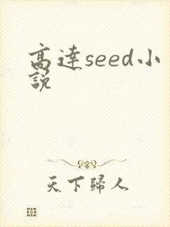 高达seed小说封面