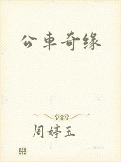 公车奇缘
