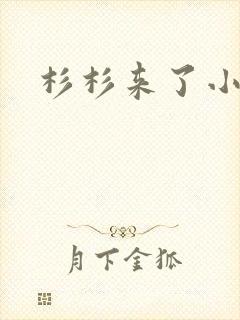 杉杉来了小说