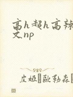高h超h高辣h文np