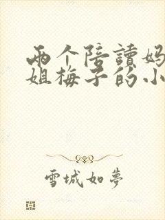 两个陪读妈妈赵姐梅子的小说封面