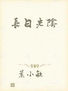 长日光阴封面