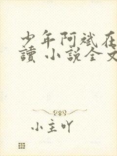 少年阿斌在线阅读 小说全文免费