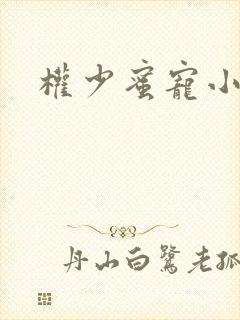 权少蜜宠小娇妻封面