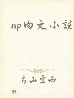 np肉文小说