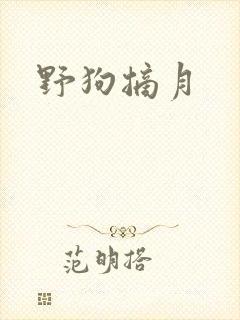 野狗摘月封面