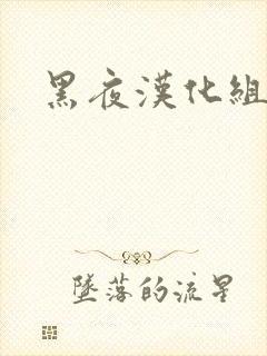 黑夜汉化组