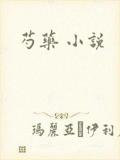 芍药 小说封面