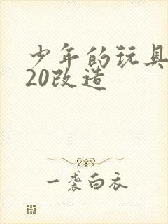 少年的玩具1一20改造封面