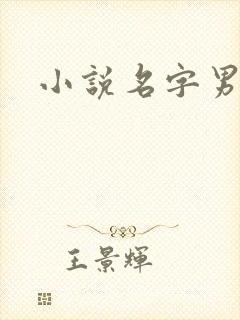 小说名字男生