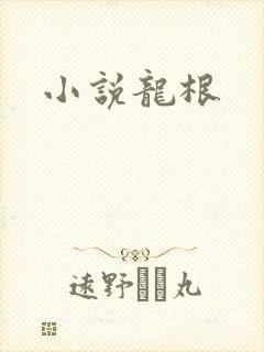 小说龙根封面
