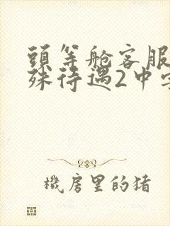 头等舱客服的特殊待遇2中字