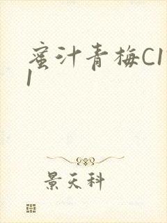 蜜汁青梅C1V1