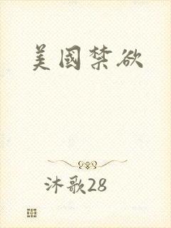美国禁欲