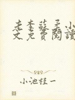老李苏柔小说全文免费阅读封面
