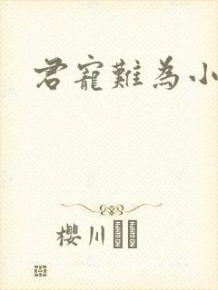 君宠难为小说