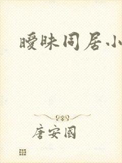 暧昧同居小说