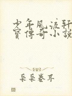 少年风流轩辕大宝传奇小说