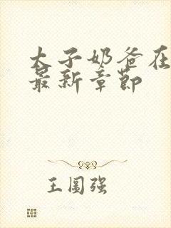 太子奶爸在花都最新章节封面