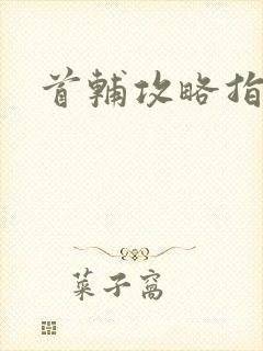 首辅攻略指南