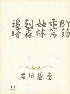 追到她乖BY黑暗森林写的小说