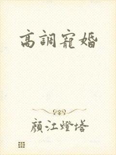 高调宠婚封面