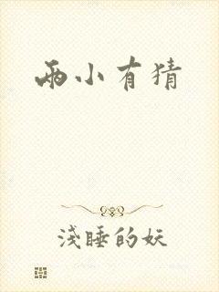 两小有猜