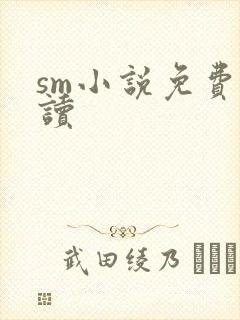 sm小说免费阅读封面