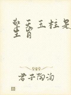 擎天玉柱是什么生肖