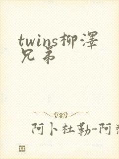 twins柳泽兄弟封面