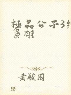 极品公子3续世枭雄