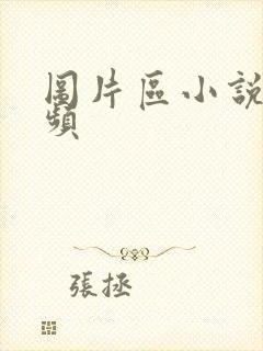图片区小说区视频